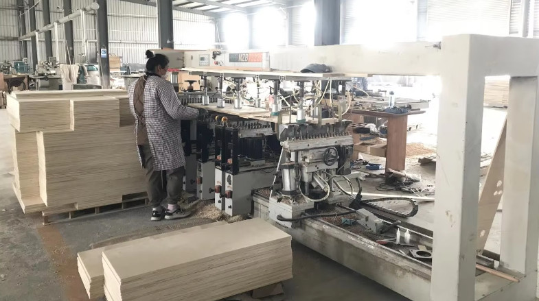 Qingdao Vitalucks Trade Co., Ltd. factory production line