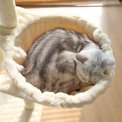 ISO9001 2008 FSCI BSCI Certified Wooden Cat Tree with Large Condo and Multilevel Design