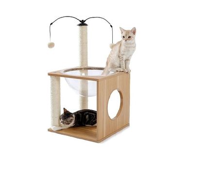 OEM ODM Accepted Elegant Cats Tree Space Capsule with Floating Nest and Hanging Balls