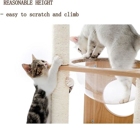 OEM ODM Accepted Elegant Cats Tree Space Capsule with Floating Nest and Hanging Balls