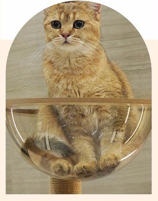 Customized Size Wood Cat Tower with Multi-Level Climbing Frame Scratcher Components
