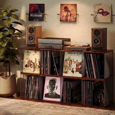 Industrial Record Holder Shelf Vinyl Record Storage Furniture with Modern Design Style