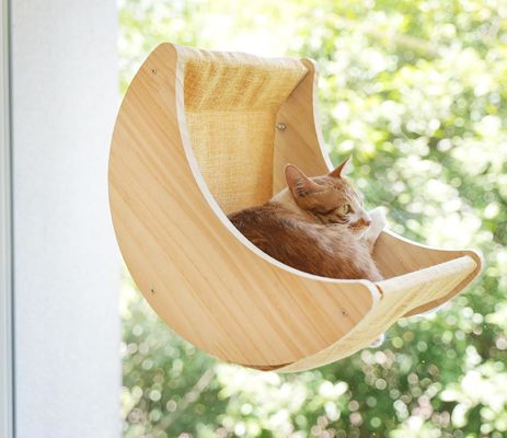 ISO9001 2008 Certified FSCI BSCI Cat Hammock Bed Shelves Mounted With Strong Suction Cups