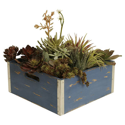 Europe Regional Feature Custom Pine Wood Gift Box Wine Crates for Free Sample Storage