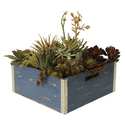 Europe Regional Feature Custom Pine Wood Gift Box Wine Crates for Free Sample Storage