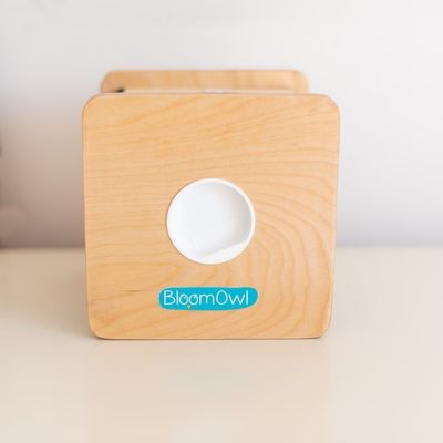 Wooden Personalized Coin Bank for Kids OEM ODM Accepted Eco-friendly Bamboo Material