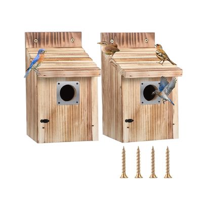 Customized Logo Acceptable 2 Pack Cedar Bluebird Box Houses for Outside