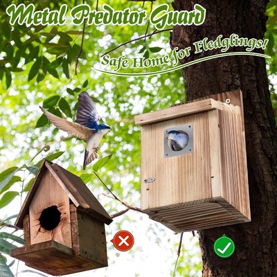 Customized Logo Acceptable 2 Pack Cedar Bluebird Box Houses for Outside