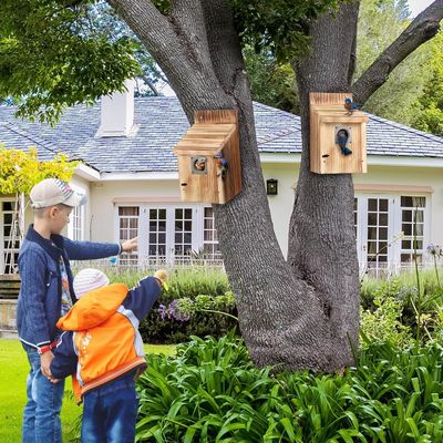 Customized Logo Acceptable 2 Pack Cedar Bluebird Box Houses for Outside