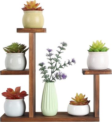 Living Room Display Rack for Succulent Herbs Square Environmental Flower Shelf Holder