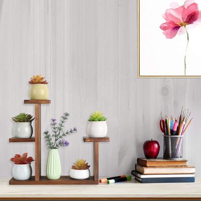 Living Room Display Rack for Succulent Herbs Square Environmental Flower Shelf Holder