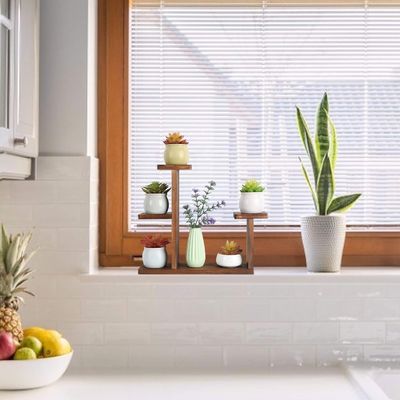 Living Room Display Rack for Succulent Herbs Square Environmental Flower Shelf Holder