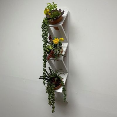 Succulent or Herb Garden Wooden Wall Planter in White with Customized Logo Acceptable