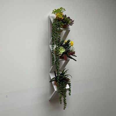 Succulent or Herb Garden Wooden Wall Planter in White with Customized Logo Acceptable