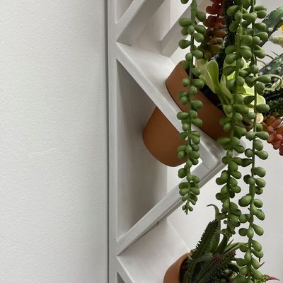 Succulent or Herb Garden Wooden Wall Planter in White with Customized Logo Acceptable