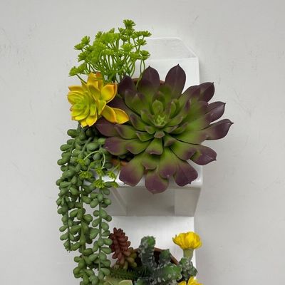 Succulent or Herb Garden Wooden Wall Planter in White with Customized Logo Acceptable