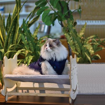 Cat Hammock with Two Removable Covers and Raised Wooden Frame Customized Logo Acceptable