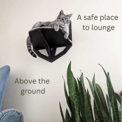 Function Save Space Wall Mounted Cat Shelf with Shelves Perches and Hanging Bed