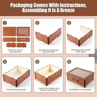 OEM/ODM Acceptable Wooden Cash Savings Money Saver with Natural Color and Standards