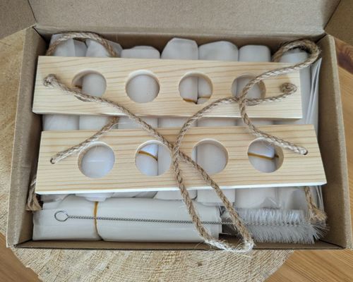 202407 Plant Propagation Station for OEM Hydroponics Vase Grow Plants Starter Station