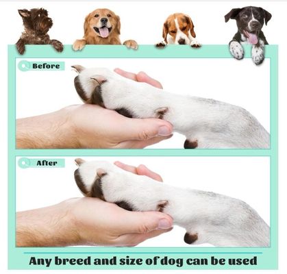 Save Time and Space 202407 Dog Scratch Pad Board for Nails