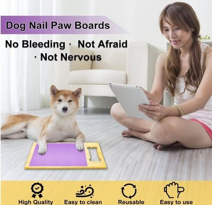 Dog Nail File Scratch Pad High Quantity Advantage for Dogs' Nail Grinding Nails