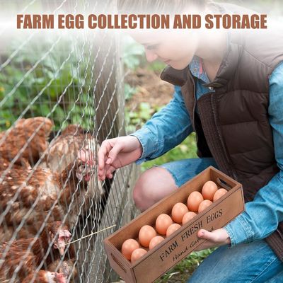 Rustic Wooden Egg Crate for 12 Fresh Eggs Stackable Customized Designs Storage Box