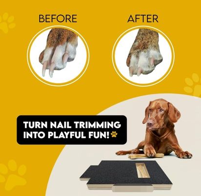 OEM Dog Scratch Pad With Treat Box Dog Nail Scratch Board With Handle Cat Scratching Board
