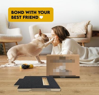 OEM Dog Scratch Pad With Treat Box Dog Nail Scratch Board With Handle Cat Scratching Board
