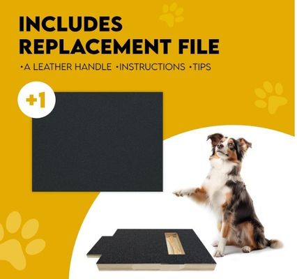 OEM Dog Scratch Pad With Treat Box Dog Nail Scratch Board With Handle Cat Scratching Board