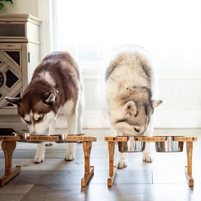 15-Degree Tilt Pet Bowl Stand Customized Wood Printing Laser Engrave Two Removable Bowls