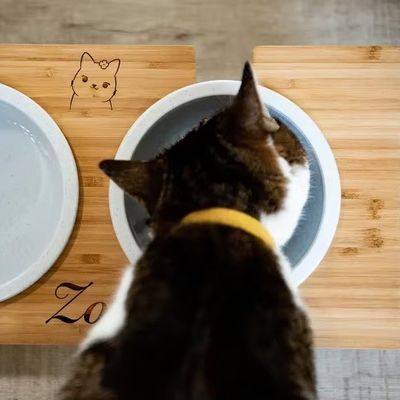 15-Degree Tilt Pet Bowl Stand Customized Wood Printing Laser Engrave Two Removable Bowls
