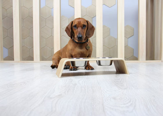 202407 Pet Gift Personalized Wooden Raised Food Stand with Two Stainless Steel Bowls