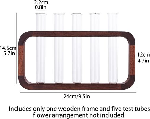 Space-Saving Hydrophilic Plants Vase with High Quantity Advantage in Transparent Glass