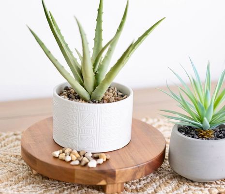 Acacia Wood Riser Round Pedestal Riser Board Wood Pedestal Stand for Kitchen Display