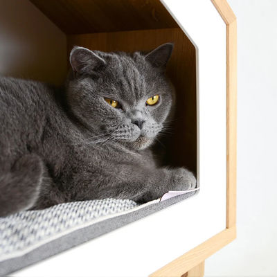 Indoor Cat Tree Oak Wood Cat House in Natural Wood Color with Storage Containers