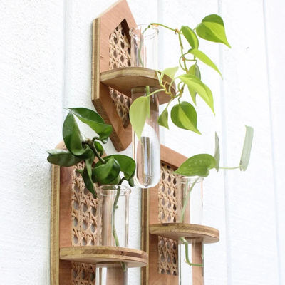 Wall Hanging Boho Hydro Planter Wall Planter with Silk-screen Printing/Burned