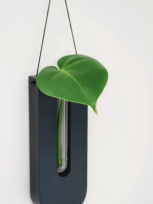 Propagation Station Modern Mini Wooden Box Wall Planter for Porch and Wall Decor Pots