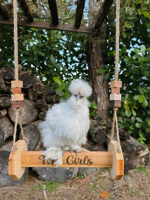 Chicken Toys Wall Mounted Cat Perch Suitable for Cats and Animals