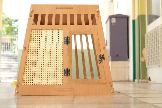 Natural Wood Color Wooden Indoor Dog Cat House Crate with Door in White