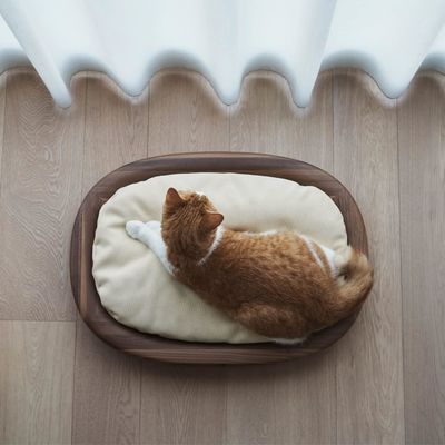 Plain Wooden Box Rectangle Pet Bed with Anti-Slip Design and Easy Care Structure