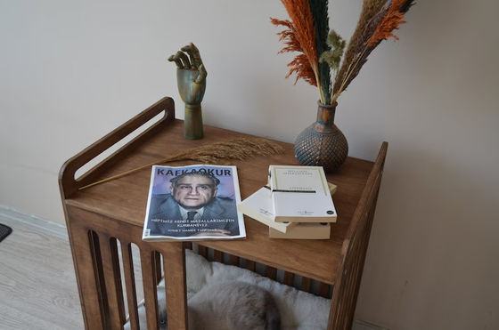 Indoor Cabin Must-Have Save Space with Luxury Demolition Wooden Dog Crate Furniture