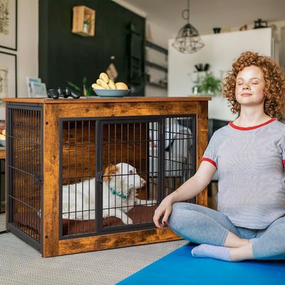 Wall Mounted Cat Perch Wooden Dog Crate Furniture with Double Doors and Thick Cushion