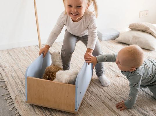 Wooden Toy Box on Wheels Customized as Per Your Request for Kids' Toys Organization