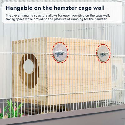 Wooden Small Animal Hideout with Solid Pattern at Affordable Cost
