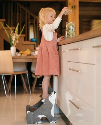High Quantity Kids Step Stool for Toddlers Perfect Helper in Kitchen and Bathroom