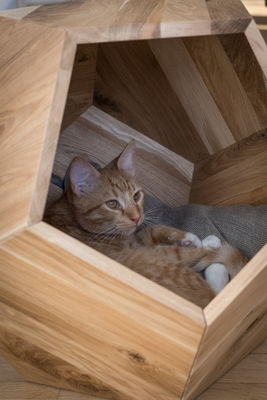 Household Storage Container Cat Bed Cave in Modern Design with Solid Wood and Side Table