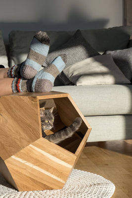 Household Storage Container Cat Bed Cave in Modern Design with Solid Wood and Side Table