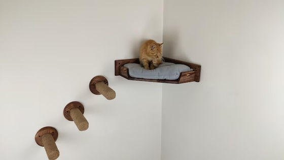 Household Wall Mounted Cat Play House with Tower Cattery Bed in Natural Wood Color