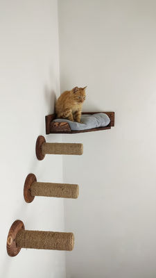 Household Wall Mounted Cat Play House with Tower Cattery Bed in Natural Wood Color